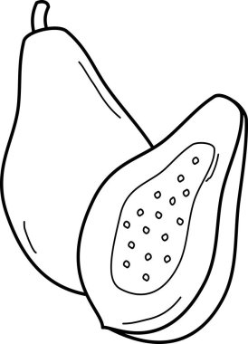Boyama kitabı için papayanın özet çizimi