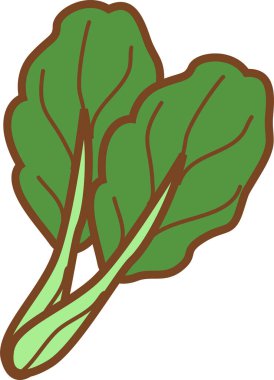 Sebze ıspanak çizimi