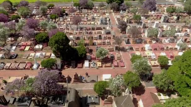 Scenic Aerial Flight Directly Densely Packed Cemetery Graveyard — Stock Video