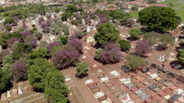 Vol Aérien Panoramique Directement Dessus Cimetière Densément Rempli — Video