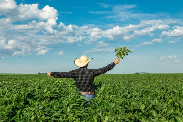 Mladý Farmář Klobouku Sójovými Boby Poli — Stock fotografie