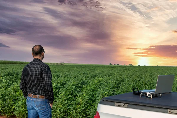 Farmer standing in soybean field looking at notebook and drone.