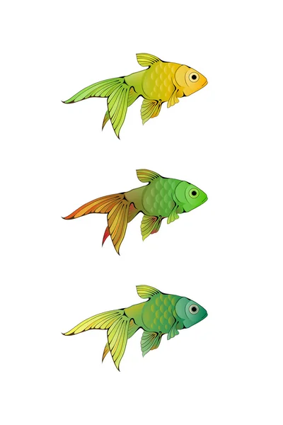Pequenos peixes de aquário estilizados à mão — Vetor de Stock