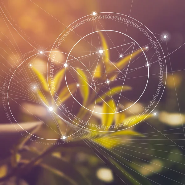 Kutsal geometri. Matematik, doğa ve doğa maneviyat. Doğa formülü. Hiçbir başlangıç ve evren, ve başı yok sonu yok ve yaşam sonu.