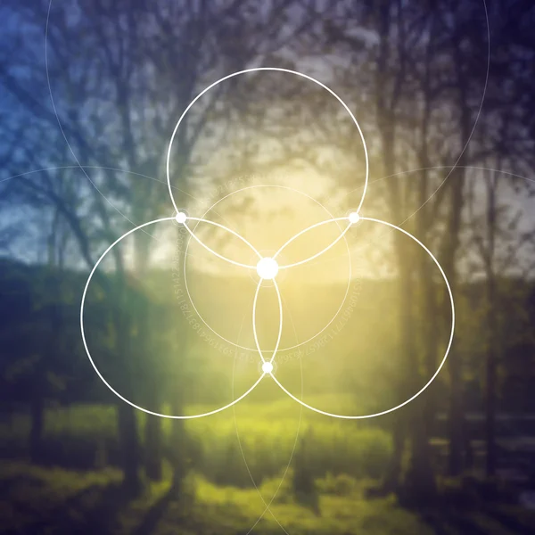 Yaşam Çiçek - birbirine daireler antik sembolü. Kutsal geometri. Matematik, doğa ve doğada maneviyat. Fibonacci sırası. Doğanın formülü.