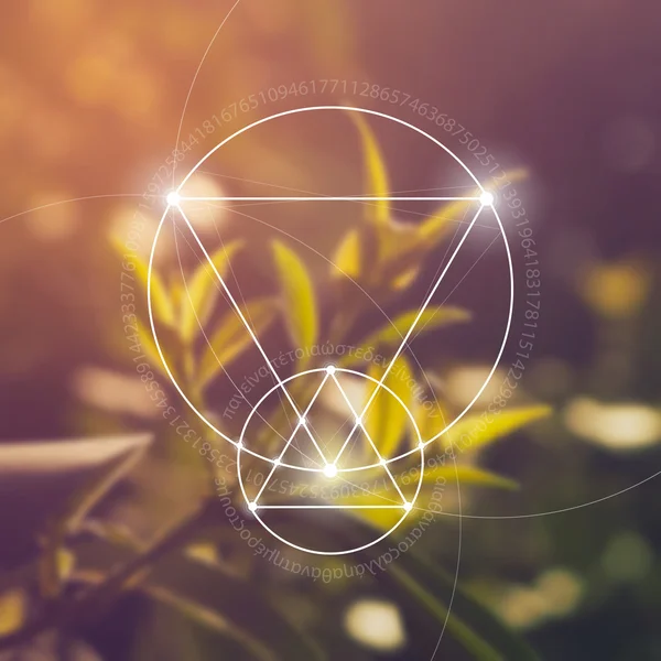 Kutsal geometri. Matematik, doğa ve doğada maneviyat. Doğanın formülü.