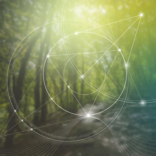 Geometría sagrada. Matemáticas, naturaleza y espiritualidad en la naturaleza. La fórmula de la naturaleza . — Vector de stock