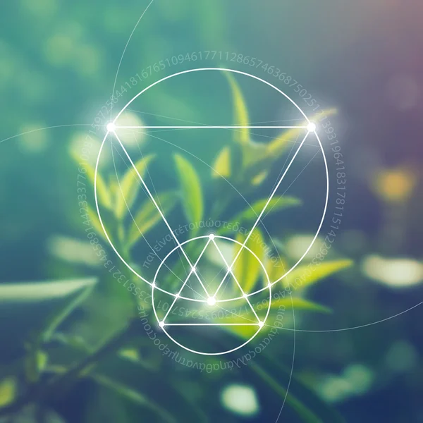 Kutsal geometri. Matematik, doğa ve doğa maneviyat. Doğa formülü. Hiçbir başlangıç ve evren, ve başı yok sonu yok ve yaşam sonu.