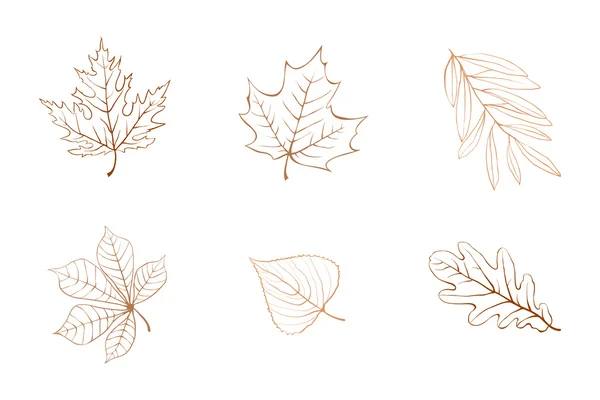 Overzicht Autumn Leaves — Stockvector