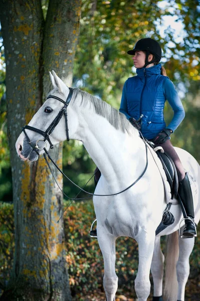 Reiterin Reitet Auf Weißem Pferd Der Herbstallee Lebendige Farbige Draußen — Stockfoto