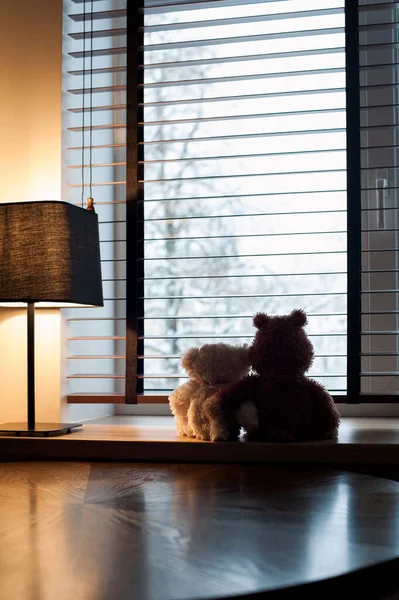 Ett Par Omfamnande Kärleksfulla Nallebjörnar Leksaker Tittar Vintern Utsikt Sitter — Stockfoto