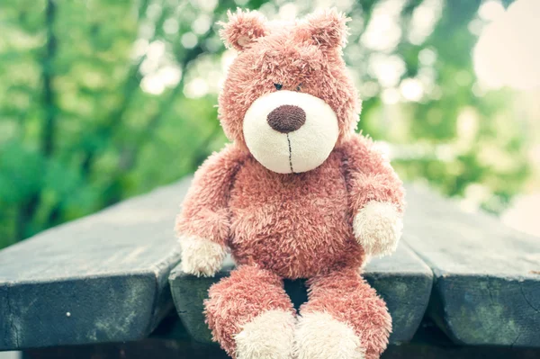 소유자에 대 한 기다리고 있습니다. 잊혀진된 곰 장난감입니다. 슬픔. — 스톡 사진