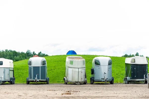 Många häst släp i den gröna parken utomhus. — Stockfoto