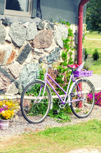 Glamour lavanda roxa bicicleta retro rural. Ao ar livre . — Fotografia de Stock