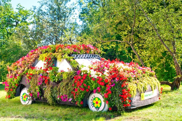 Kwiat oryginalny-łóżko - samochód. Lato na zewnątrz. — Zdjęcie stockowe