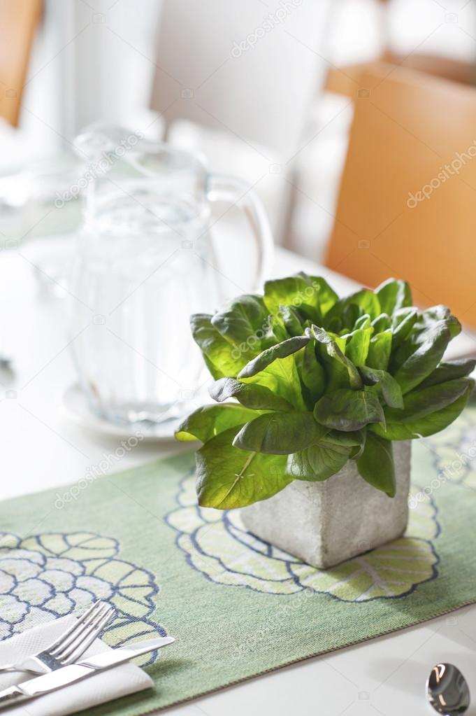 Basil bunch in stone decorative pot on the table