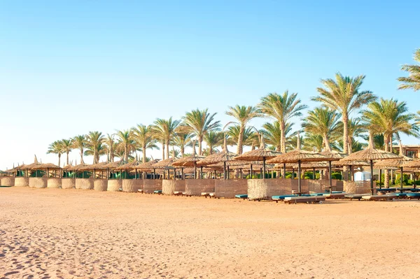 Row of wattled straw umbrellas on sunny beach. Egypt. Sharm-el-s — Stockfoto