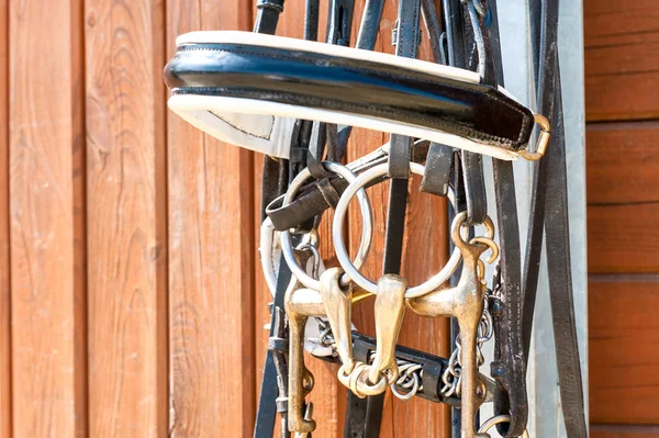 Una briglia di cavallo appesa alla porta di legno stabile. Primo piano all'aperto . — Foto Stock