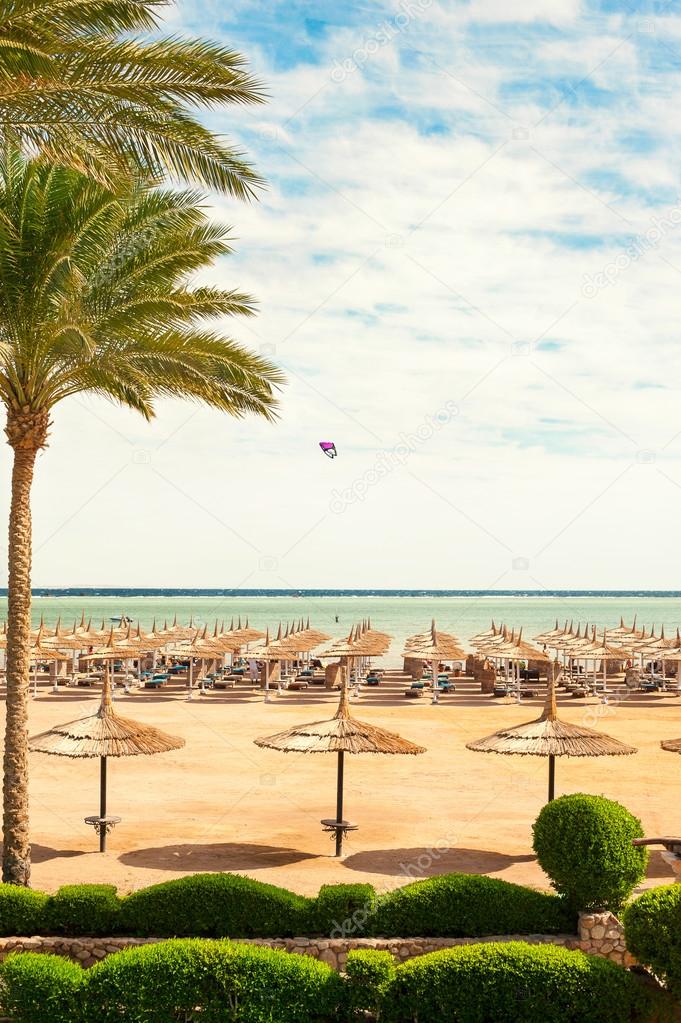 Wattled straw umbrellas on sunny summer beach. Egypt.