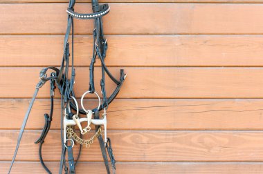 Horse bridle with decoration hanging on stable wooden wall. Clos