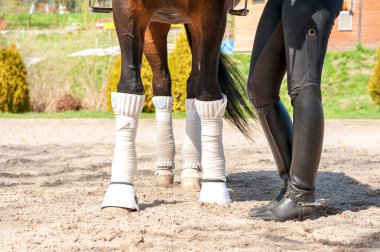 Horse legs in bandages with riding leather horsewoman boots. Out