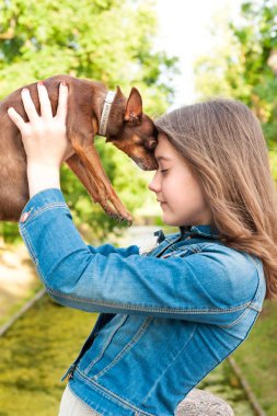 Unconditional love. Teenage girl with brown toy-terrier dog.