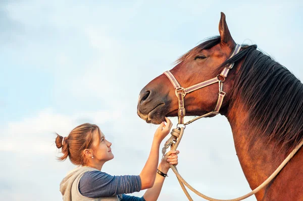 Joven adolescente alegre acariciando la nariz del caballo marrón. Exterior — Foto de Stock