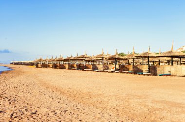 Morning Egyptian sunny beach. Sharm-el-sheikh.
