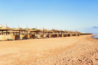 Row of wattled straw umbrellas on sunny beach. Egypt. Sharm-el-s