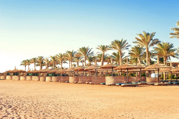 Row of wattled straw umbrellas on sunny beach. Egypt. Sharm-el-s — Stockfoto