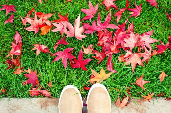 Automne. Bottes sur herbe verte avec de nombreuses feuilles d'érable rouge . — Photo