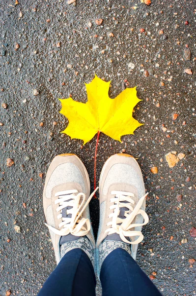 Tomber dans la ville. Baskets modernes avec feuille d'érable jaune d'automne . — Photo
