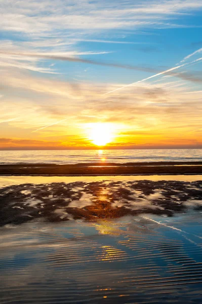 Színes nyári naplemente a Balti-tenger strandjától. Függőleges ki — Stock Fotó