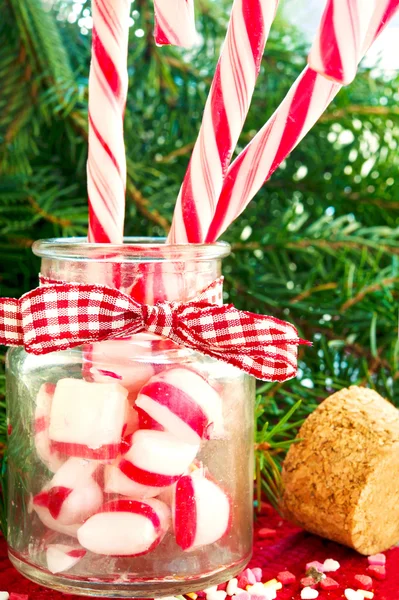 Bunch striped candy canes in glass jar on christmas background — Stock Photo, Image