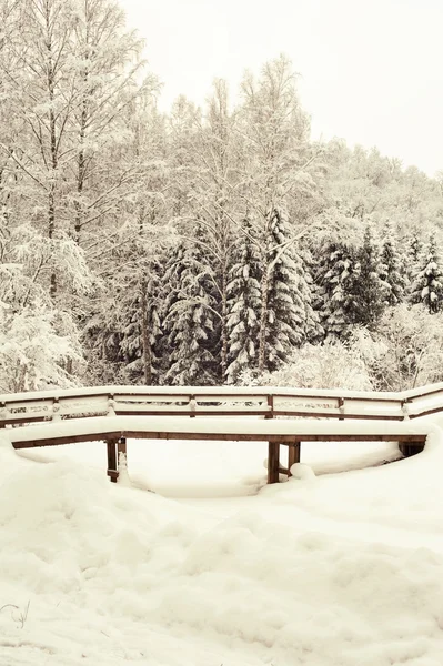 Puha tiszta téli erdőben fahíd hóval. — Stock Fotó