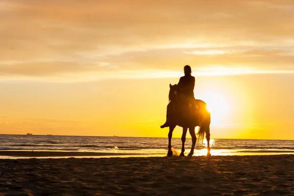 Équitation à la plage sur fond de coucher de soleil. Multicolore outd — Photo