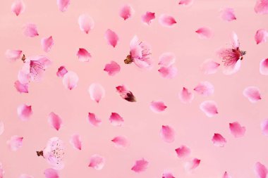 Bahar çiçekleri doğal arka plan. Pembe arka planda güzel bahar çiçekleri