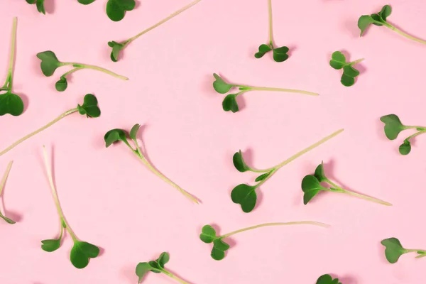 Pembe arka planda mikroyeşil lahanalar. Sağlıklı yaşam tarzı, sağlıklı yemek ve gençlik kavramı.. — Stok fotoğraf