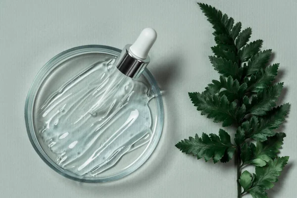 Pastel yeşil arka planda okaliptüs ve eğrelti otu yapraklı kozmetik ürünler. Bitkisel malzemelerin doğal kozmetikleri. Kozmetikte bitkiler ve temel yağlar