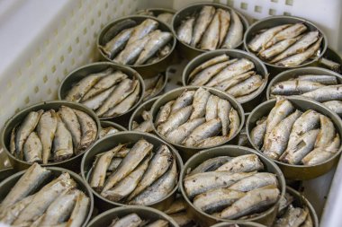 Balık fabrikasındaki balık üretimi.