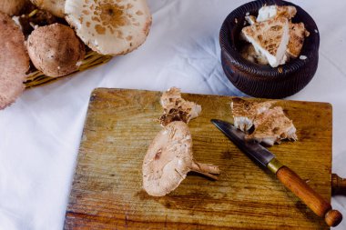 Ahşap masada yenilebilir mantarlar