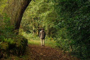 Siyah sırt çantalı ve turuncu kazaklı bir kadın ormanda toprak bir yolda dikiliyor.