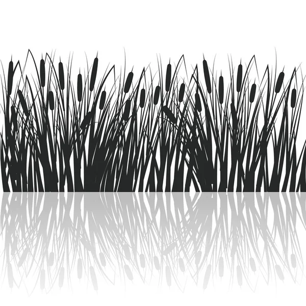 Silhouette von Schilf und Binsen im grünen Gras. Sumpf- und Flusspflanzen mit Reflexion im Wasser. Vektorflache Abbildung — Stockvektor