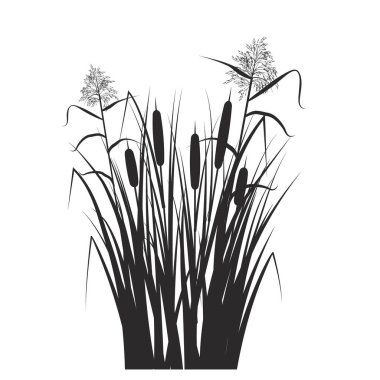 Silhouette of reed and cane in green grass. Swamp and river plants. Vector flat illustration clipart