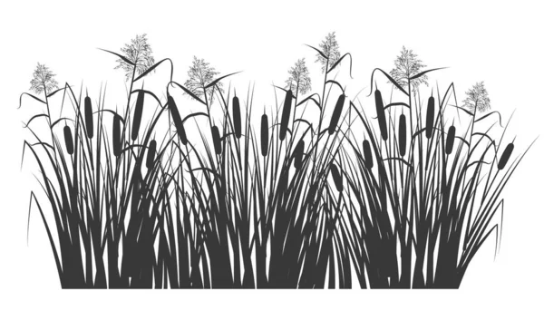 Sazlık silueti ve yeşil çimlerde baston. Bataklık ve nehir bitkileri. Vektör düz resimleme — Stok Vektör