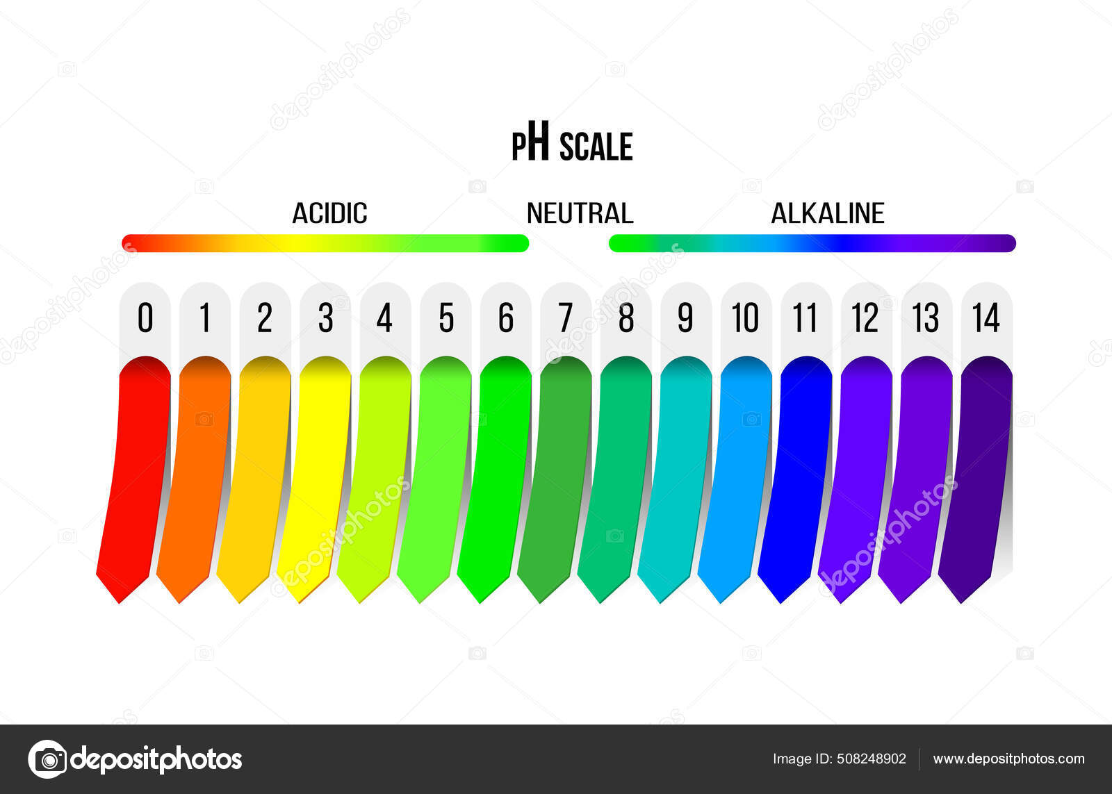 Ph scale. Indicator of acidity, alkalinity and neutral solution