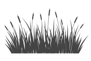 Çimen kamışı siyah siluet. Vector bataklık kuyruğu. Nehir kenarındaki su tesisleri ve beyaz arka planda izole edilmiş göl. Bulrush yüksek yaprak düz illüstrasyon