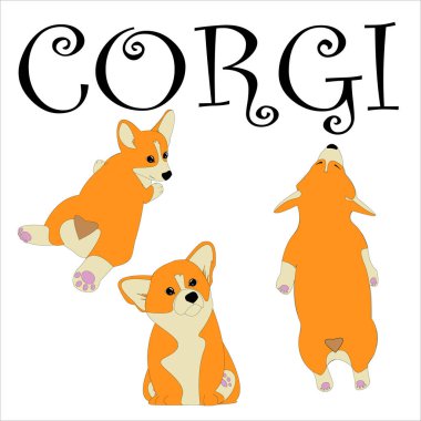 Corgi köpek simgeleri hazır. Farklı pozlarda oynaşan Corgi köpekleri. Vektör çizimi. Tişörtler, kartpostallar, özgeçmişler, telefon kılıfları. Tasarım için simgeler.