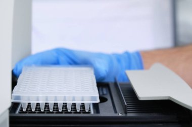 DNA amplifikasyonu için termal döngüye PCR plakası koyan bir araştırmacı. Coronavirus PCR testi.