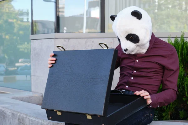 Hombre Ladrón Con Una Máscara Panda Cabeza Han Robado Maletín — Foto de Stock